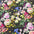 Spring roses floral Cotton Print Fabric – 100% Cotton - 147cm Wide - M2129