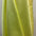 Plain Polyester Faux Silk Taffeta dress craft fabric 142cm wide M2135