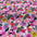 Happy Flowers Floral Cotton Print Fabric – 100% Cotton - 147cm Wide - M2122