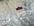 CRUSHED VELVET FABRIC Craft Stretch Velour Material Extra Wide 58" M628 Mtex