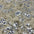Graceful Meadow Cotton Print Fabric – 100% Cotton - 147cm Wide - M2132