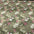Tropical floral Cotton Print Fabric – 100% Cotton - 147cm Wide - M2130