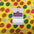 Printed 100% Combed Cotton Voile Fabric M1484