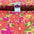Printed 100% Combed Cotton Voile Fabric M1484