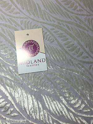 Pearl White Leaf Abstract Burnout Pattern  Semi Transparent 55' Wide M17-2 Mtex - Midland Textiles & Fabric