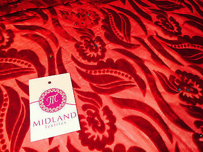 Burnout leaf floral print on chiffon 50' Inches Wide M161-9 Mtex - Midland Textiles & Fabric