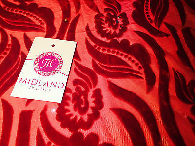 Burnout leaf floral print on chiffon 50' Inches Wide M161-9 Mtex - Midland Textiles & Fabric