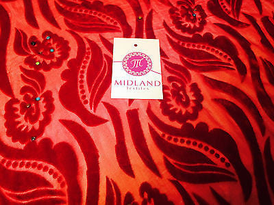 Burnout leaf floral print on chiffon 50' Inches Wide M161-9 Mtex - Midland Textiles & Fabric