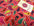 Paisley Print 100% Cotton Poplin Fabric, 45" Craft Cotton Wide M25 Mtex - Midland Textiles & Fabric