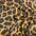 Animal Print printed chiffon leopard brown sewing scarf  fabric M1613