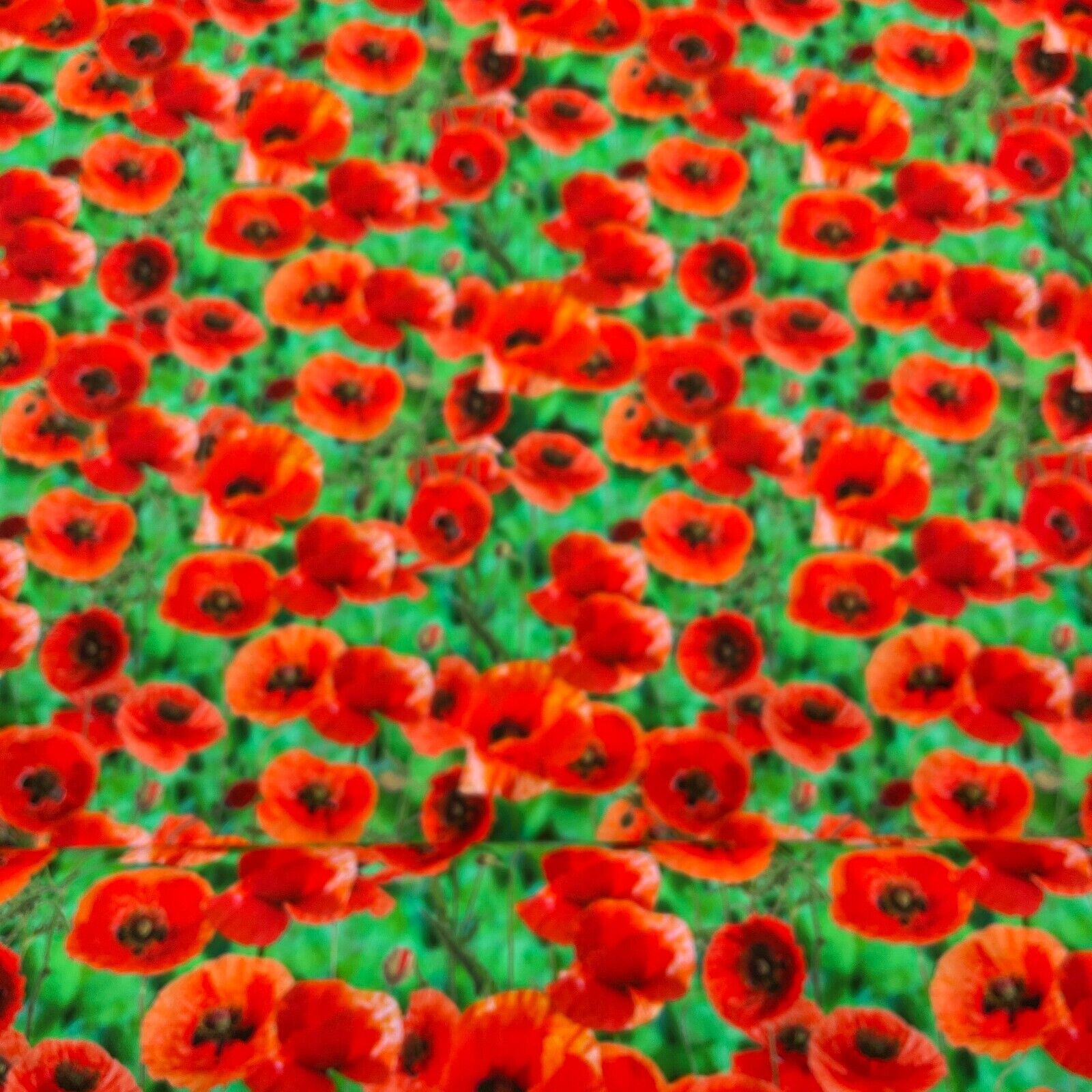 Cotton Poppy fabric Emerald Green & Red Floral printed dress poplin M1695